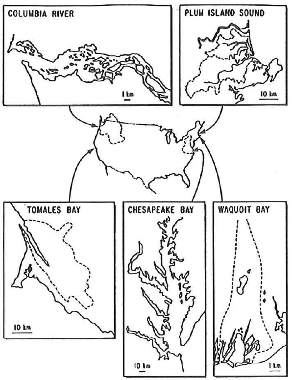 Land Margin Ecosystems Research (LMER) 