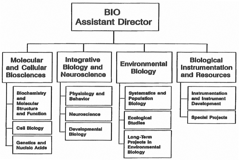 NSF Biology Directorate Diagram