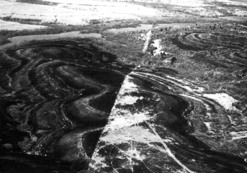 The effect of fire in tallgrass prairie