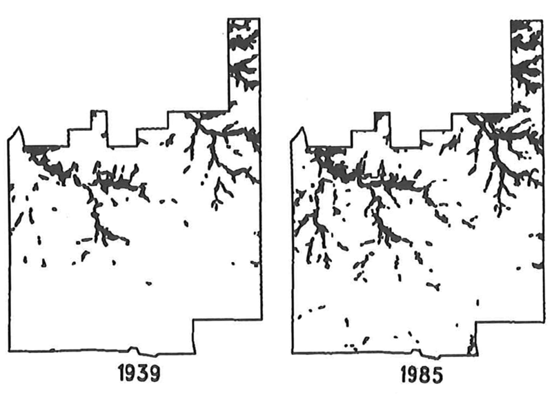 Extent of woody vegetation cover on Konza Prairie in 1939 and 1985.