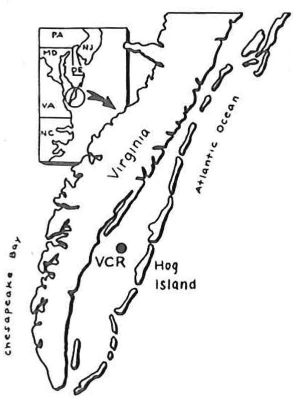 virginia coast map