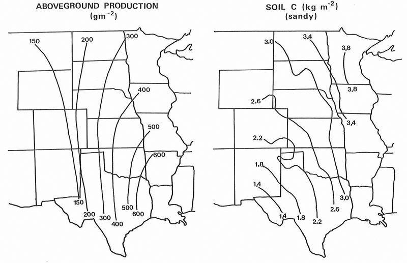 Regional pattern for plant production and soil C