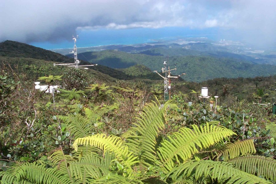 Meteorological station in the Luquillo Mountains, Puerto Rico