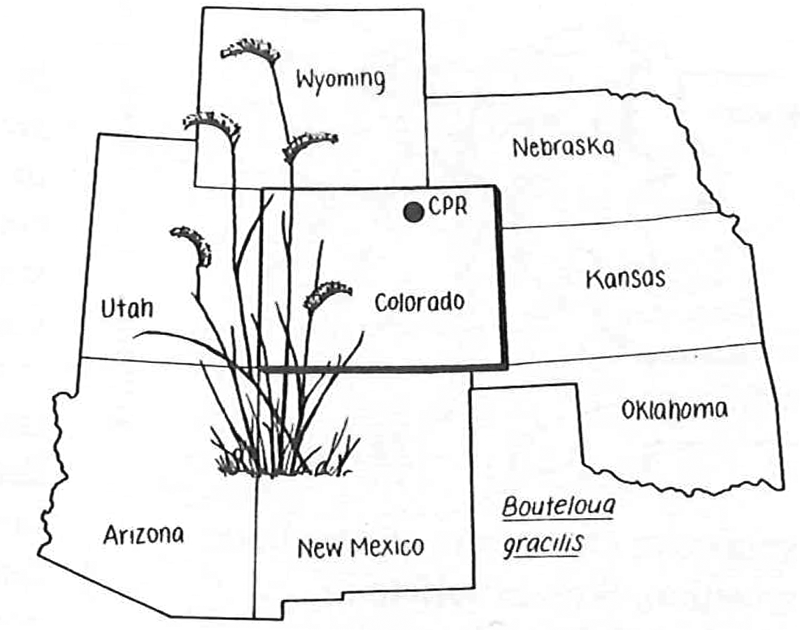 Central Plains Experimental Range drawing