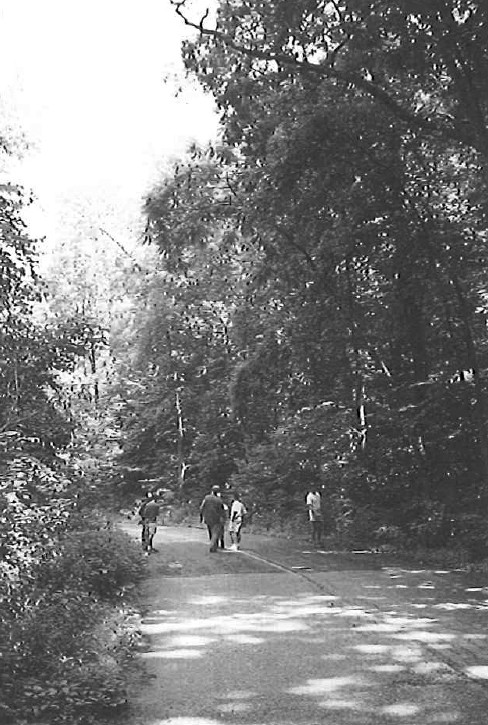 A former automobile road in Leakin Park, Baltimore