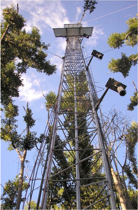 The triangular tower used for instrumentation mounting at FCE-LTER SRS-6 site