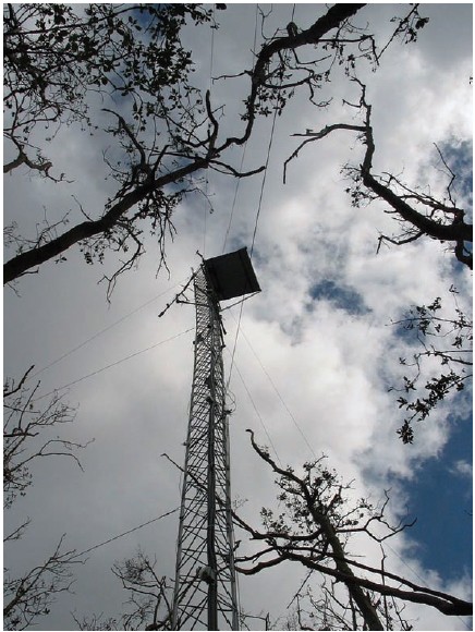 The flux tower at FCE-LTER SRS-6 site was reconstructed in the fall 2006