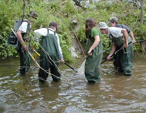 Middle school students collecting fish at the Coweeta Hydrologic Laboratory LTER