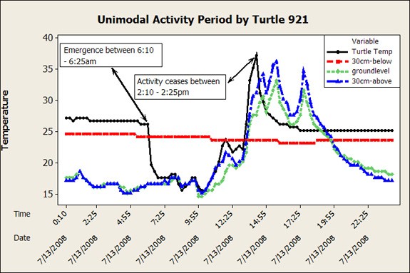 A graphical illustration of turtle activity