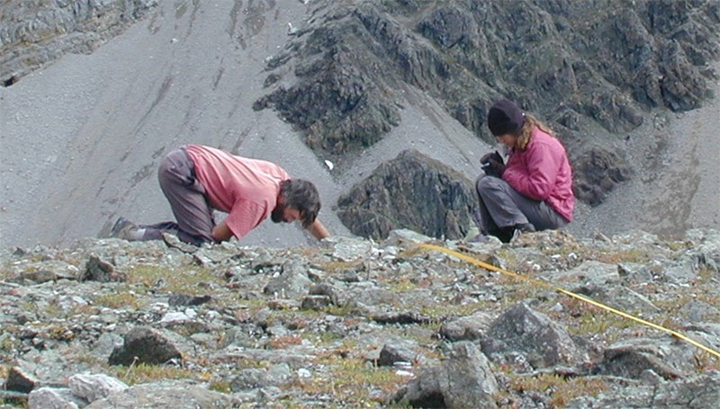 Bill Morris and Alex Rose measure plants in an alpine cirque