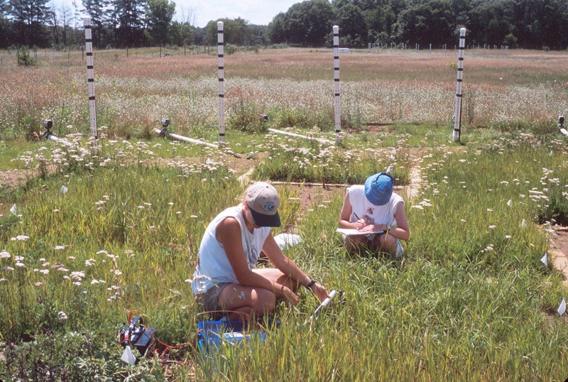Scientist Tali Lee takes measurements of plant response to CO2 with student inte