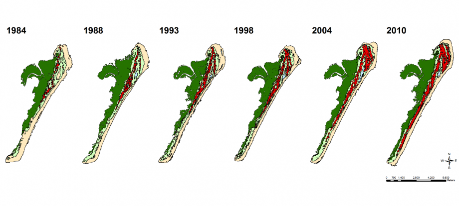 Landsat TM derived classifications