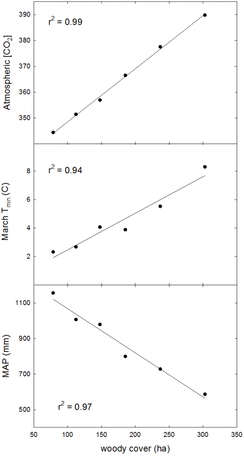 Figure 3.  Relationships between climatic variables and woody cover