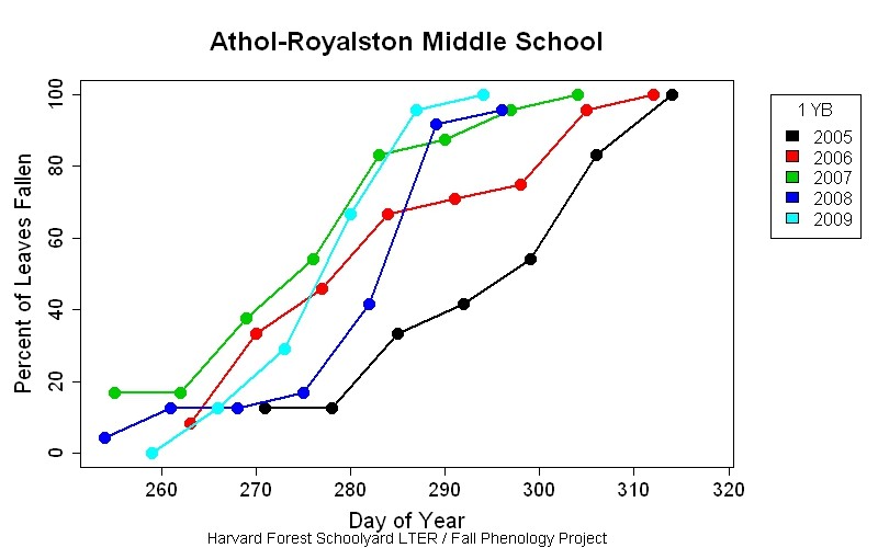 schoolyard graph