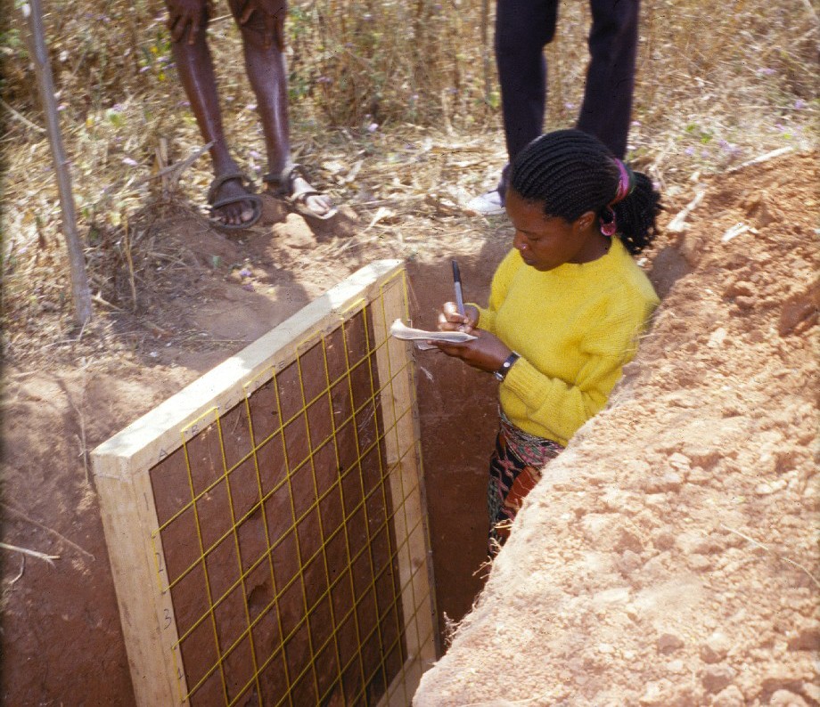 Malawi soil profile