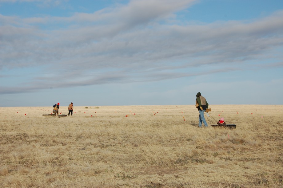 field crew