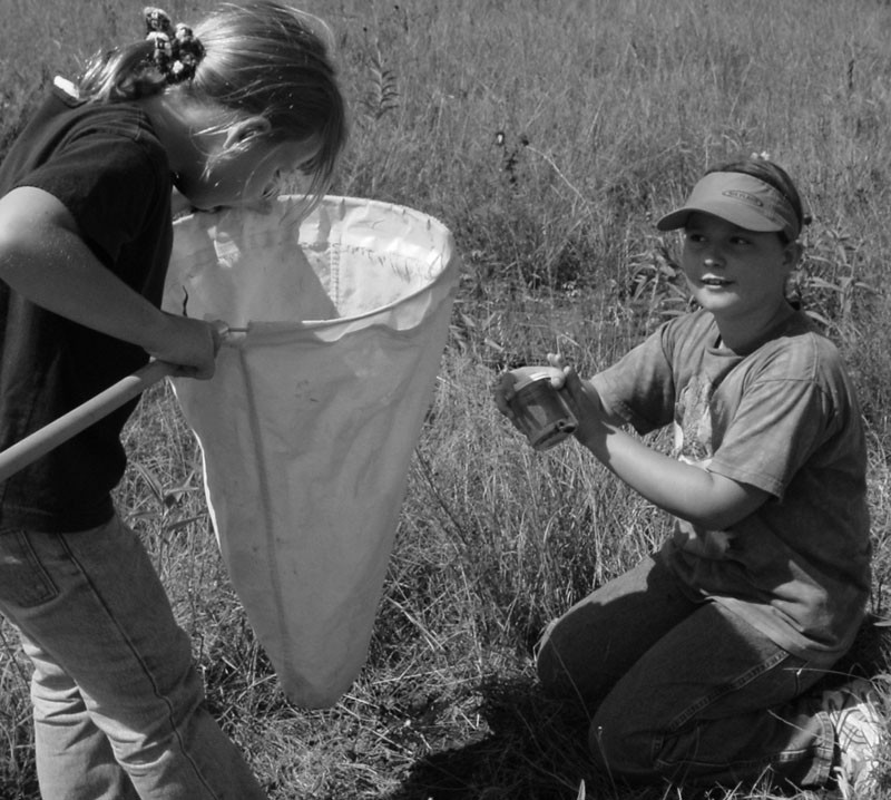 Girls use nets and tins to catch grasshoppers