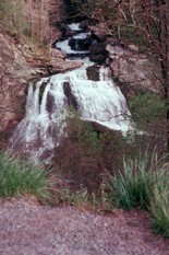 One of the stream study sites at Coweeta LTER