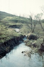 A stream study site at Konza Prairie LTER.