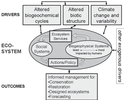 Figure 1. Planning grant conceptual framework