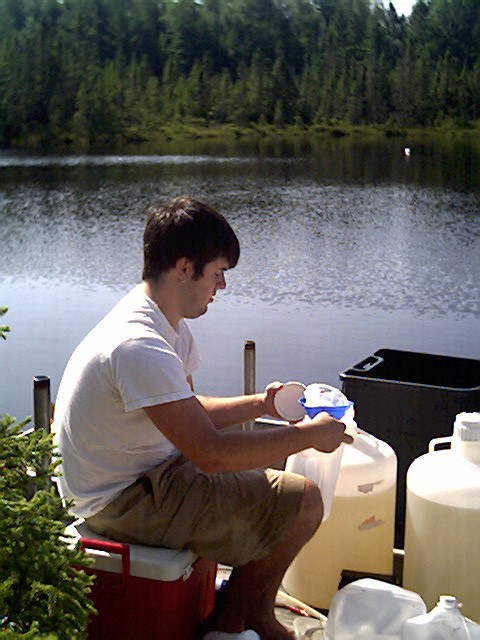 Setting up a food-web manipulation experiment at Crystal Bog