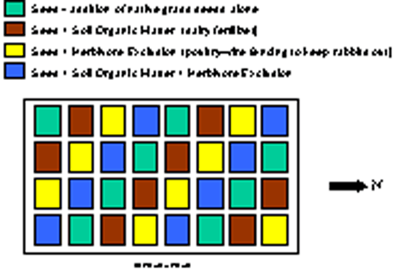 An example of the experimental design for research plots set up at the Chihuahua