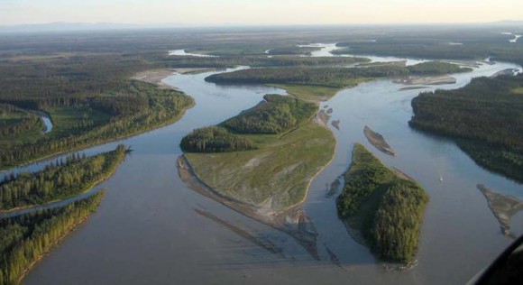 Aerial view of the braided Tanana River 