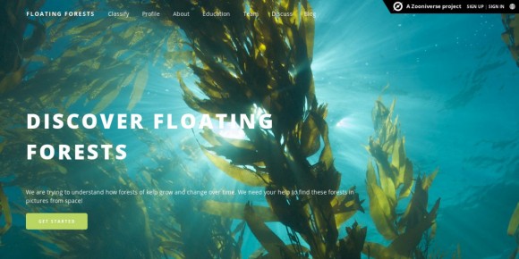 The Floating Forests website