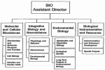 NSF Biology Directorate Diagram