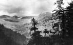 H.J. Andrews Experimental Forest