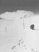 Measuring snow depth on the Niwot Ridge Saddle Grid, March 1993