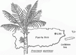 Luquillo Experimental Forest LTER Site Map