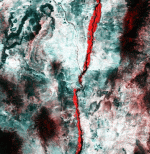 False-color MODIS Satellite image of the Florida Coastal Everglades LTER