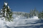 High-elevation snow pack at H.J. Andrews Forest