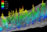 LiDAR image shows a canopy height profile across a narrow transect 