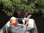 recording fish data