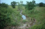Kings Creek, Konza Prairie LTER, featured in the March 2004 issue of BioScience.