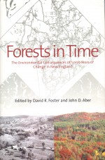Forests in Time