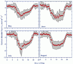 Average diurnal patterns of carbon dioxide fluxes