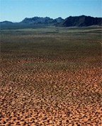 The Jornada del Muerto is located in the Chihuahuan Desert in southern NM