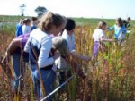 PIE Students record vegetation along transect lines