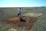 Research associate Nicole Kaplan spreads lignin on an experiment