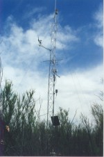 Figure 2. Ten meter ET flux tower in a riparian salt cedar stand