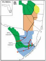 Figure 1: Map of south Florida showing locations of our Everglades transects