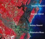 The Georgia Coastal Ecosystems LTER Study Sites pt. II