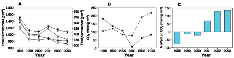 Effects of CO2 and N on total plant biomass over time