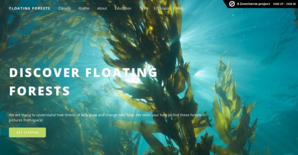 The Floating Forests website