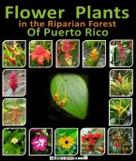 Biological Fact Sheet - Flowers