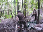 Luquillo LTER researchers redistribute debris that was trimmed from the canopy