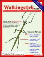 “Walkingstick Weekly”— Background reading materials